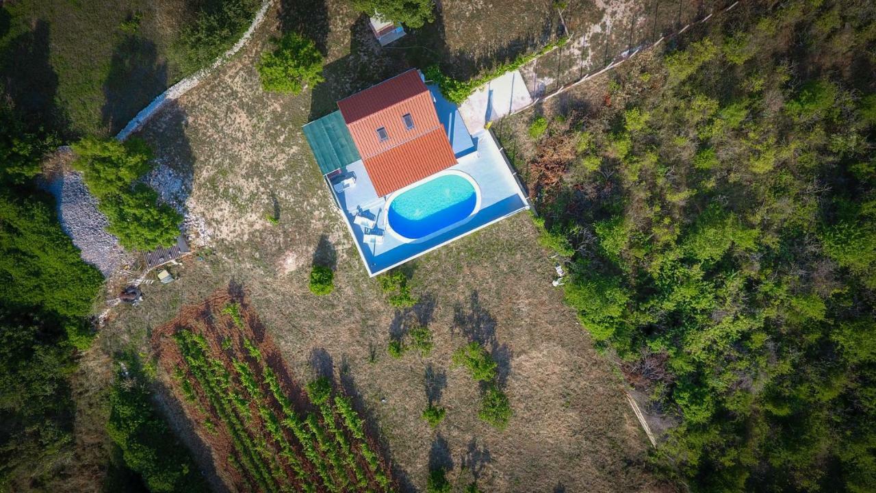 Villa Baras Garden - House With Pool Mirce Eksteriør billede
